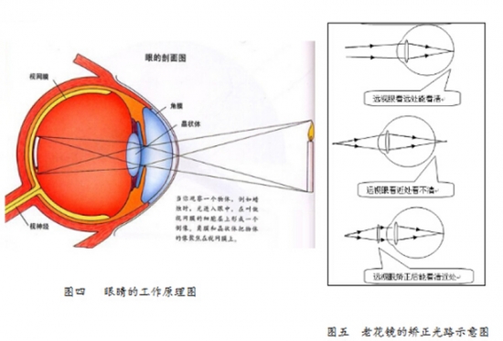 美麗島眼鏡：老花鏡不可隨意亂帶,，需要在專業(yè)驗(yàn)光后科學(xué)配制